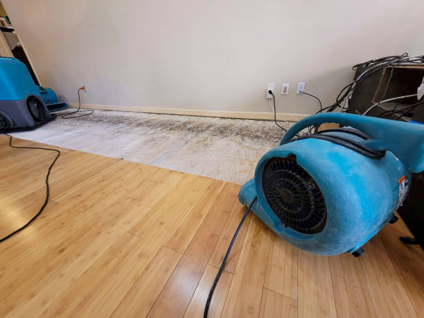 Professional Sewage Cleanup technician working in Seligman, AZ